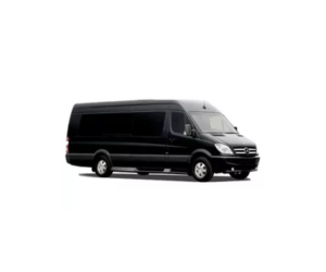 Minibuses or mini coaches are used for small groups up to 30 passengers.